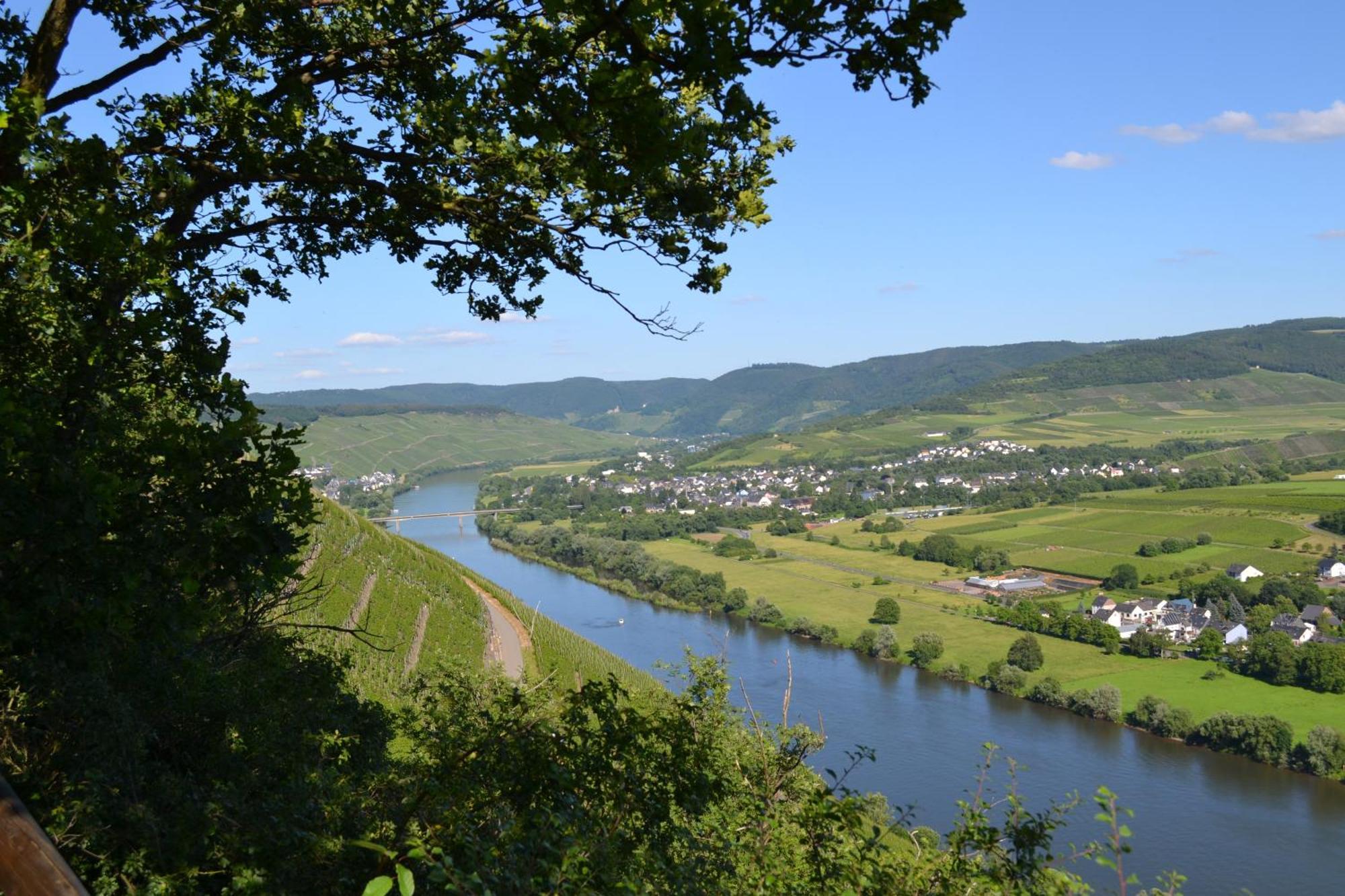 Weingut Mathy-Schanz Osann-Monzel Extérieur photo