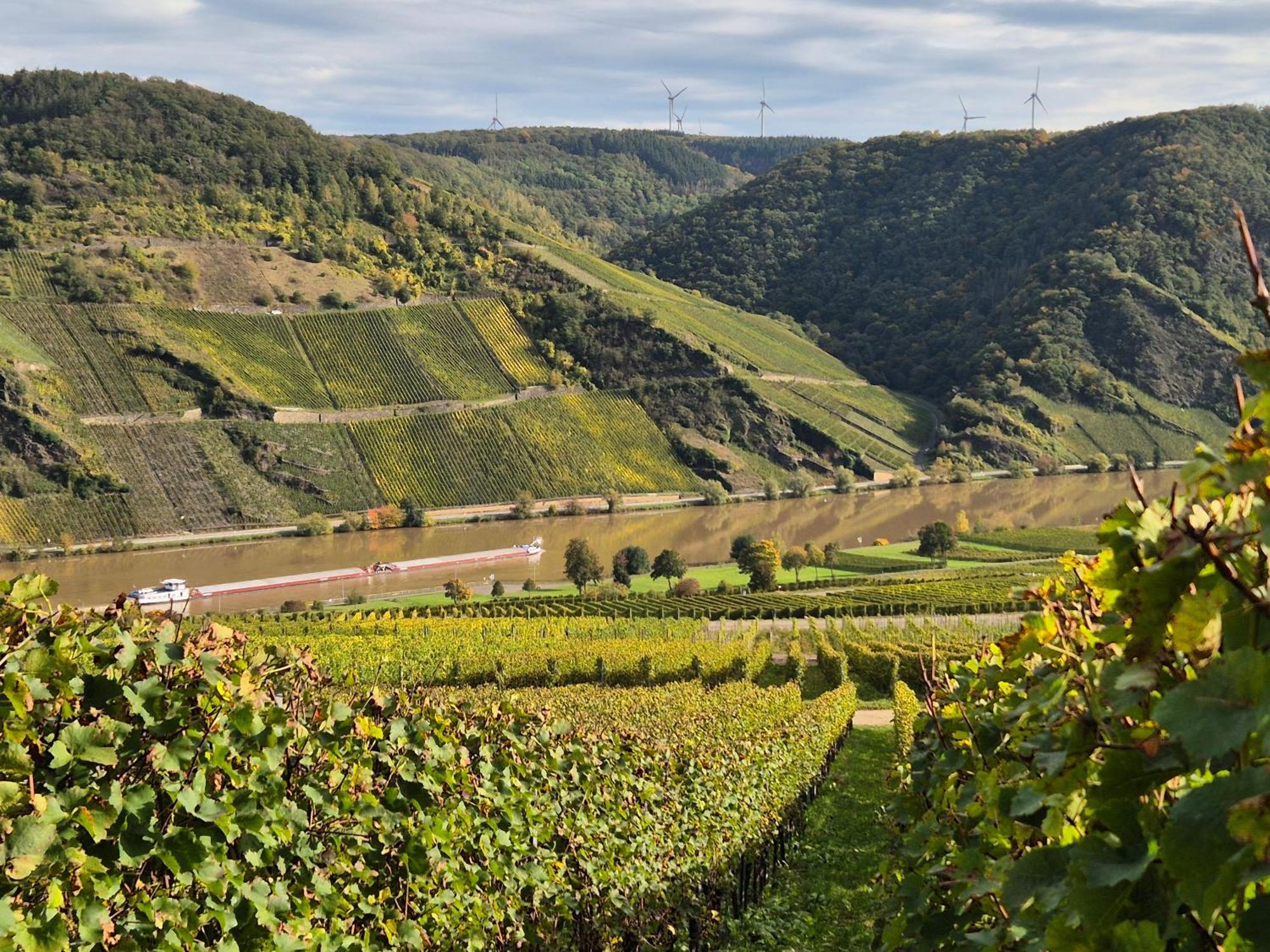Weingut Mathy-Schanz Osann-Monzel Extérieur photo
