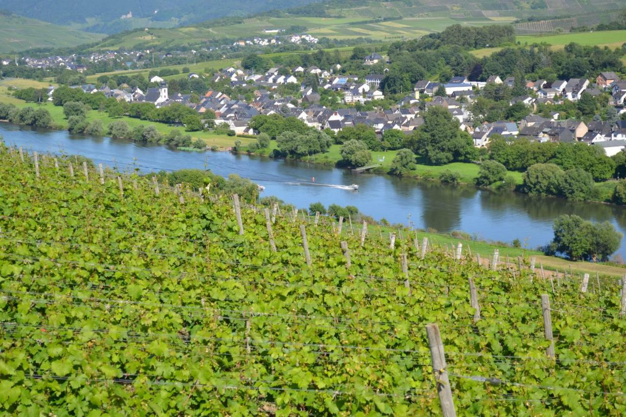Weingut Mathy-Schanz Osann-Monzel Extérieur photo