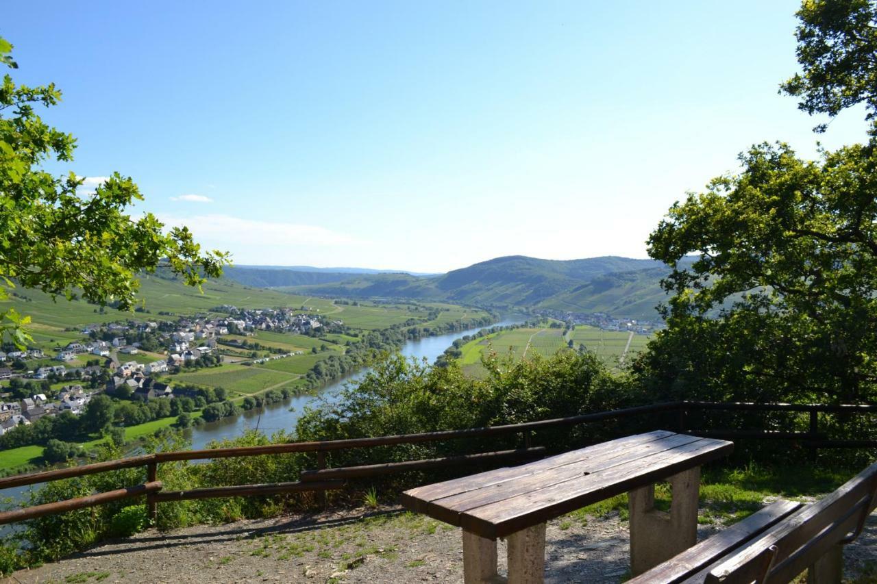 Weingut Mathy-Schanz Osann-Monzel Extérieur photo